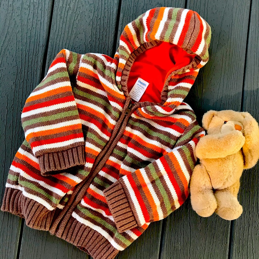 🎁BOGO Gymboree zip-up Hoodie